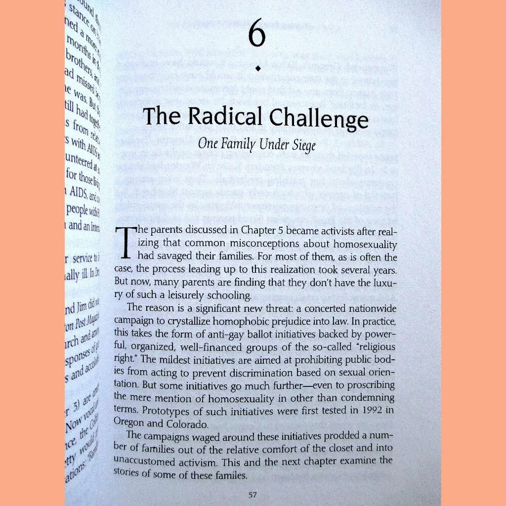 Book - Straight Parents, Gay Children: Inspiring Families to Live Honestly.... - Picture 10 of 14